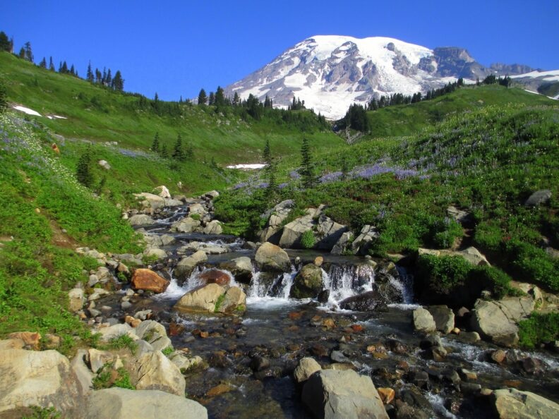 Snow melt running from Mt. Rainier
