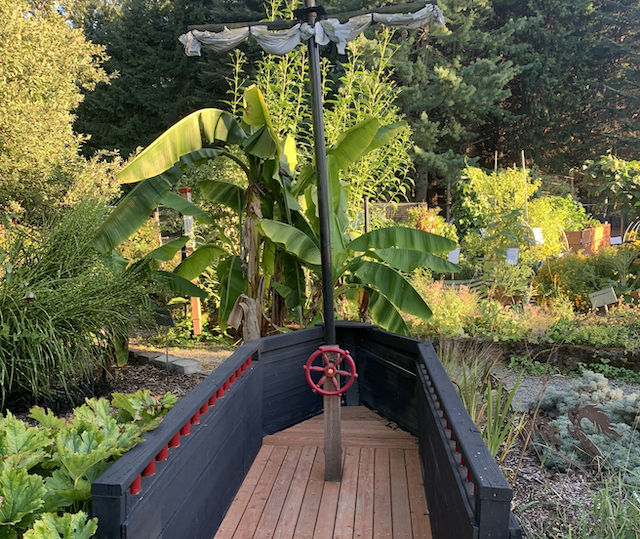 the Pirate ship