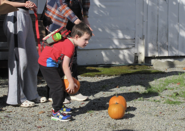 Pumpkin bowling