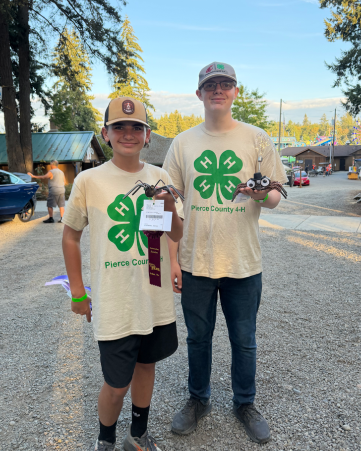 4-H Youth at the Pierce County Fair