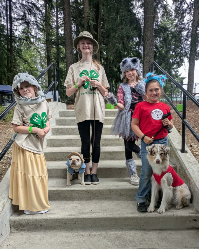 4-H Youth at the Pierce County Fair
