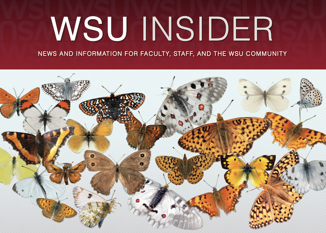 Various butterflies under the WSU Insider heading
