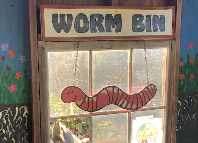 Worm Bin