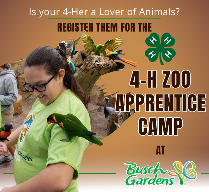 Flyer for the 4








Flyer for 4-H Zoo  Apprentice Camp at Busch Gardens


