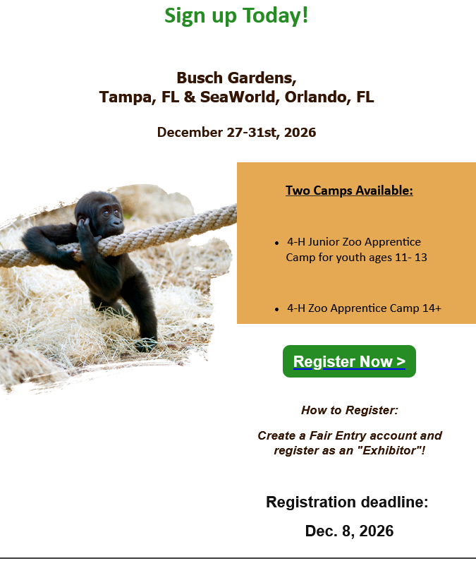 Flyer for 4-H Zoo  Apprentice Camp at Busch Gardens