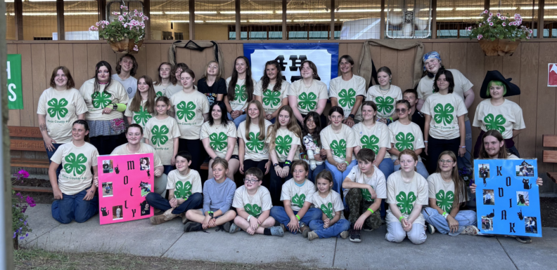 4-H Youth and volunteers that are part of the Cat project at the Pierce County Fair