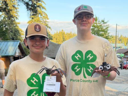 4-H Youth at the Pierce County Fair