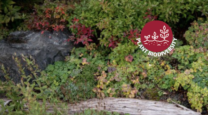 Native plants