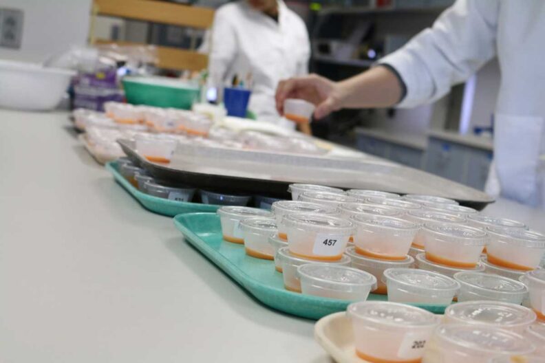 WSU School of Food Science.