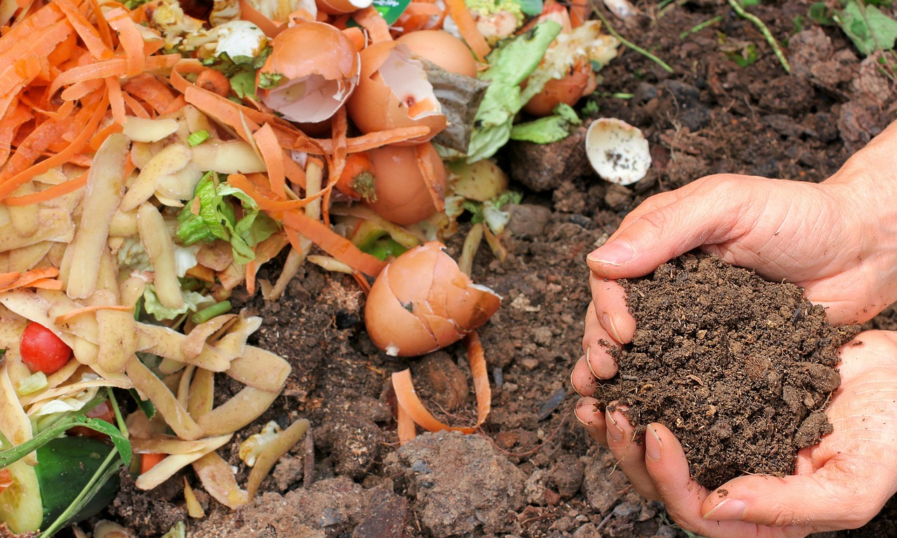 Image of compost with hands holding fresh soil from underneath