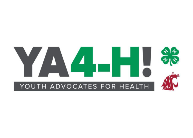 YA4-H! Logo