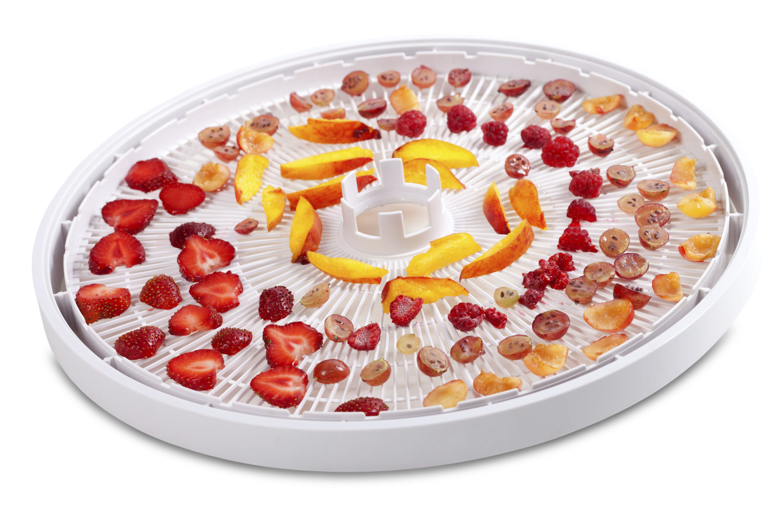 Slices of fruits and berries on dehydrator tray. Isolated on white background.