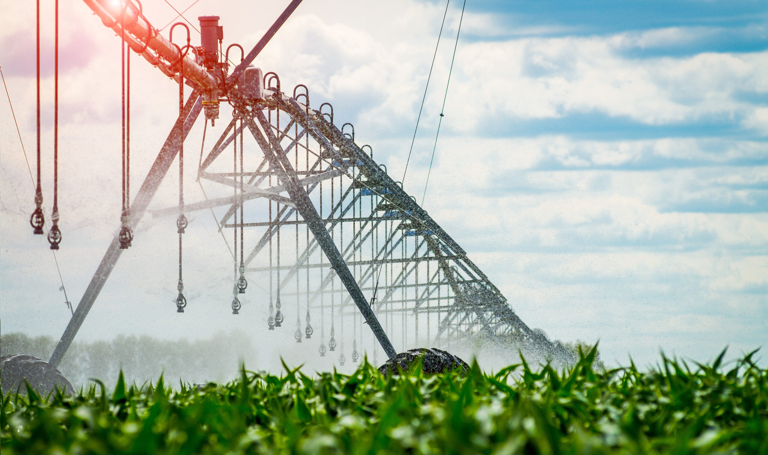 WSU Irrigated Agriculture