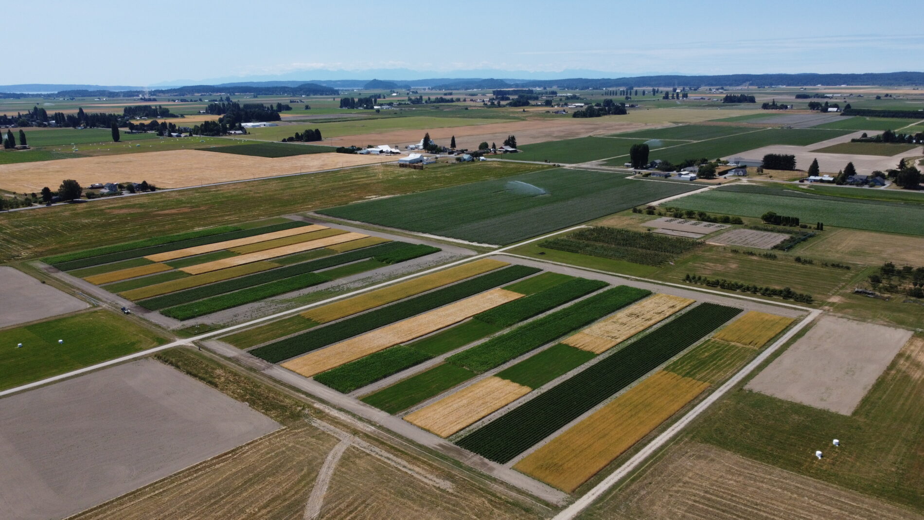 A drone's-eye view of farm fields.