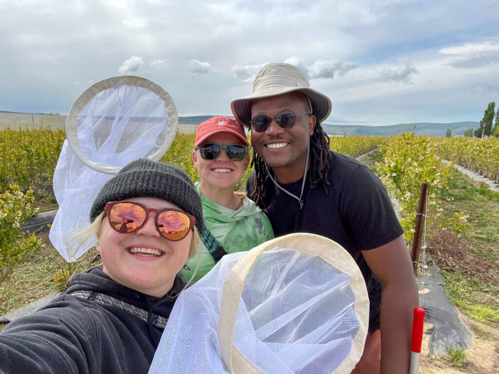 Three people holding col…s in a blueberry field.