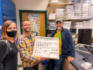 Man holding a pinned collection of bees. Man and woman also pictured.