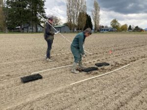 Two people in a field with plastic trays.