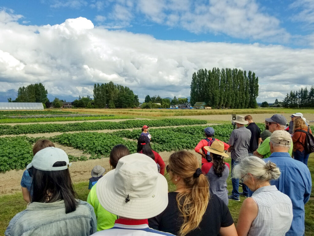 Large group watch a presentation in a field.