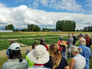 Large group watch a presentation in a field.