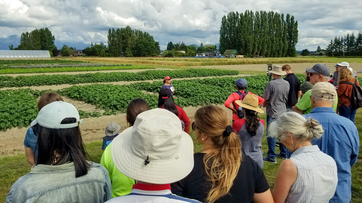 Large group watch a presentation in a field.