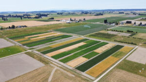 Aerial photo of farmland.
