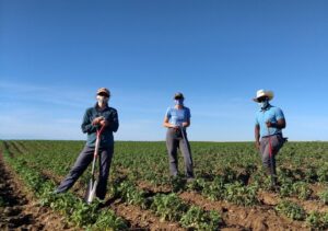 Three people stand with soil sampling tools in a field.