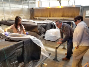 Young woman shows man and woman items under draped plastic in a greenhouse.