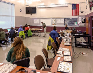 Groups in a classroom; insect specimens.