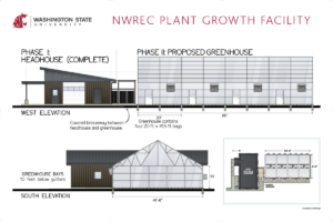 Conceptual architectural elevations of Wiley headhouse and Phase II greenhouse.