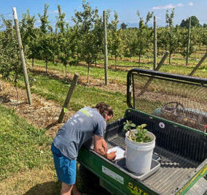 Man writing on clipboard beside ordhard.