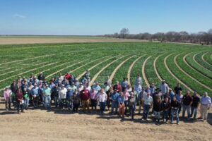 Large group of people standing next to a field.