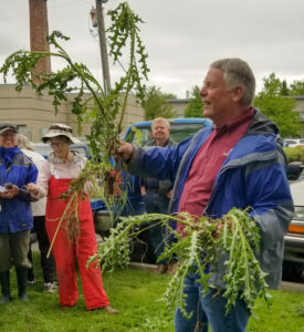 Man displays example of a weed to onlookers.