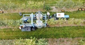 Drone image of machine in an orchard.