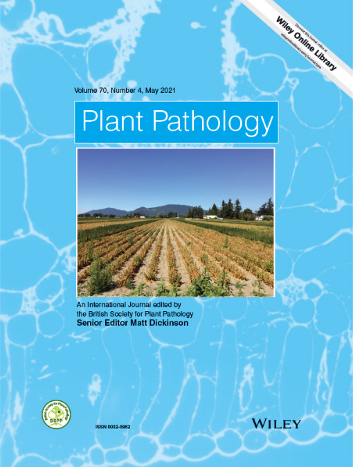 Lessons from 10 years of stakeholder adoption of a soil bioassay for spinach Fusarium wilt. Plant Pathology 70:778-792