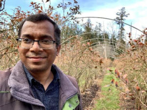 Man standing in field of berry canes and hoophouse frames.