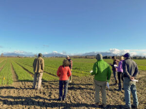 Seven people in winter jackets look at a wheat field.