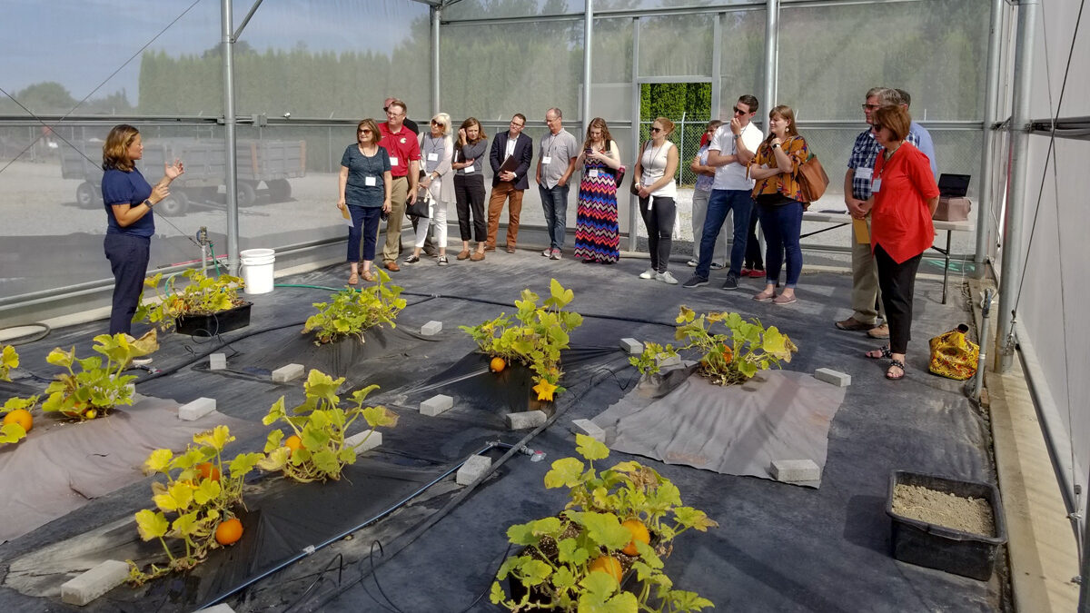 Woman speaks to group looking at pumpkin plants in a screenhouse.