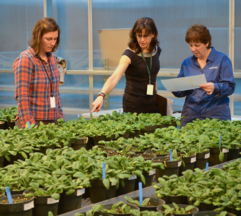 A woman points to plants in a greenhouse; two other women watch and take notes