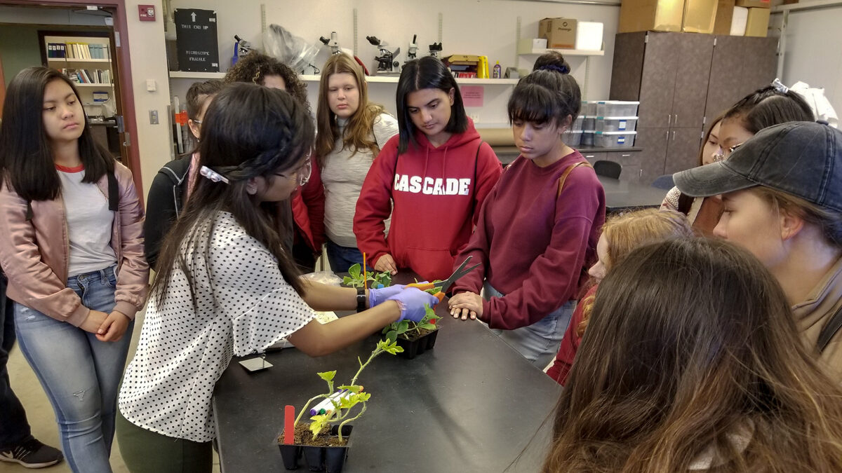 Students watch a woman working on a small tray of plants.