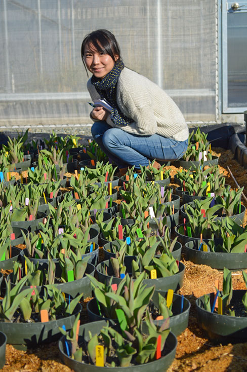 A young woman crouching in between pots of tulips.