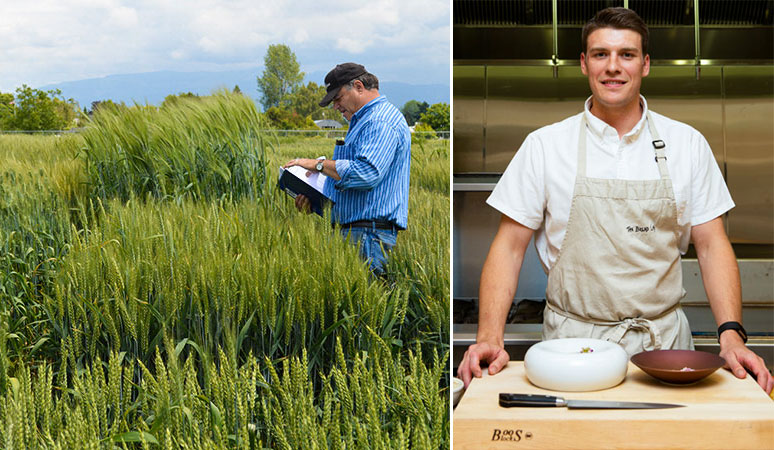 Two images. (Left) Steve Lyon reads from a notebook in a wheat field. (Right) Neils Brisbane stands in front of a cutting board in the kitchen.