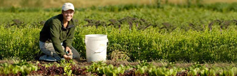 Woman working in a field.