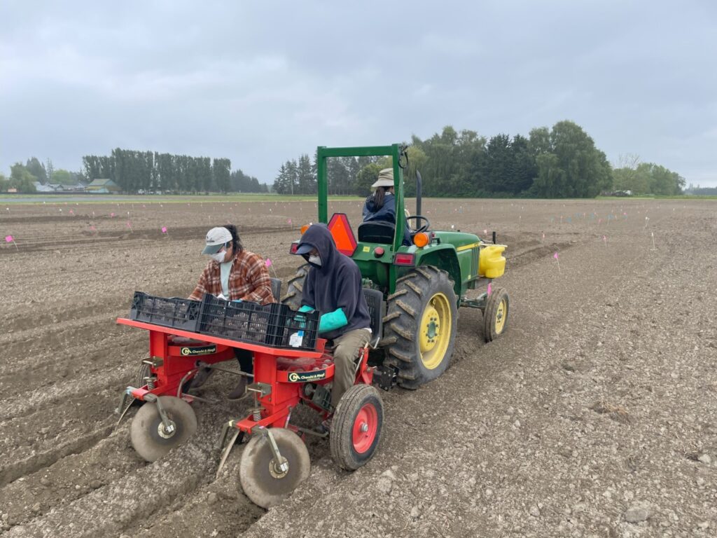 Tow people riding on a planting machine towed by a tractor.