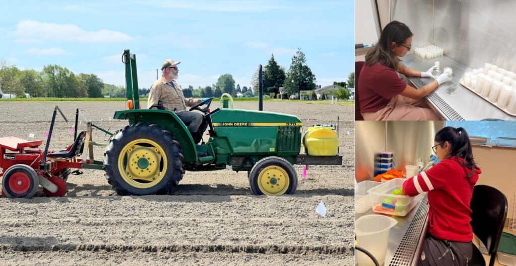 Aerial photo of buildings and parking lot.