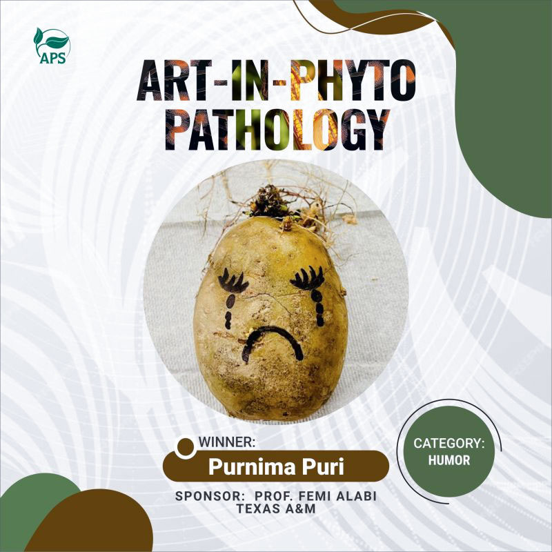 A potato with a crying face drawn in black marker. "Art-in-Phytopathology. Purnima Puri. Sponsor: Prof. Femi Alabi, Texas A&M. Category: Humor"