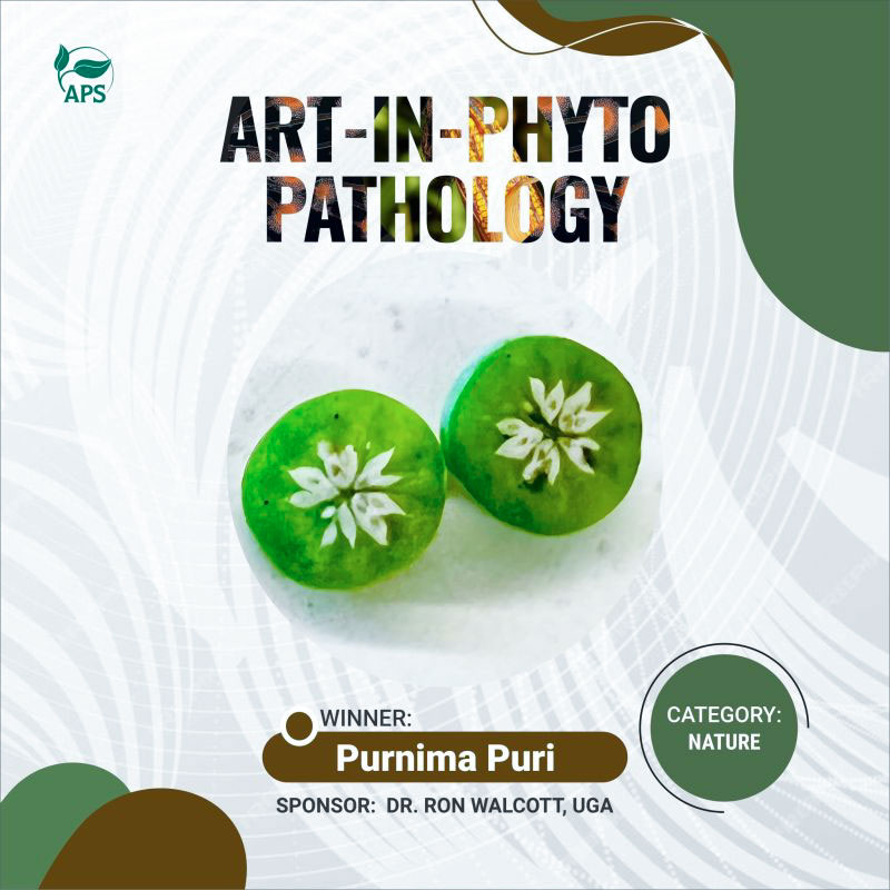 Two berries with white markings resembling flowers. "Art-in-Phytopathology. Purnima Puri. Sponsor: Dr. Ron Walcott, UGA. Category: Nature"