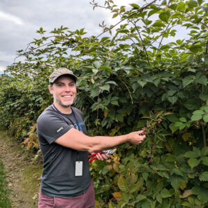 A smiling man reaching for a cluster of blackberries in a field.