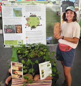 A woman standing next to an agricultural display, holding a large sweetpotato.