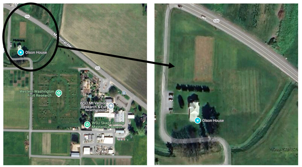 Overhead/aerial view of turf plots (circled) between the Olson Overhead Farmhouse and SR-536.