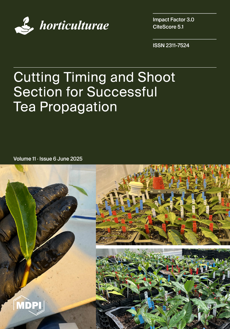 Cover of Volume 11 Issue 6 June 2025 of horticulturae with a cover article titled Cutting Timing and Shoot Section for Successful Tea Propagation. 